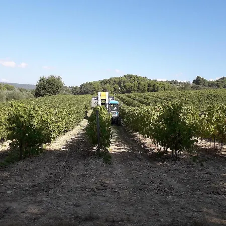 度假居 En Provence Au Coeur Des Vignes *